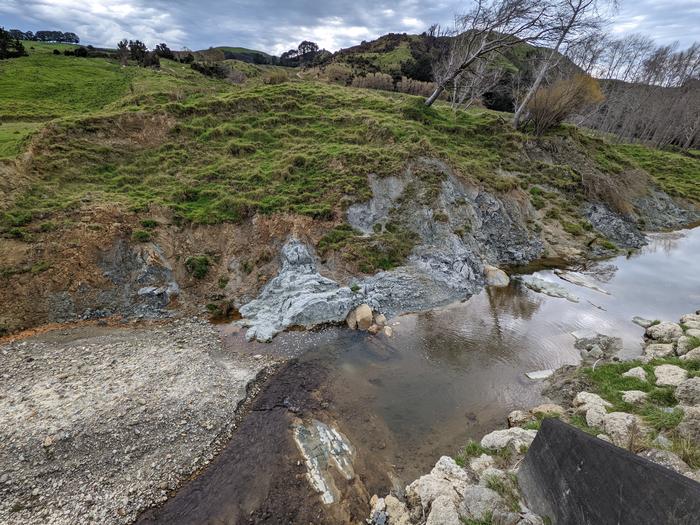 Hikurangi outcrop