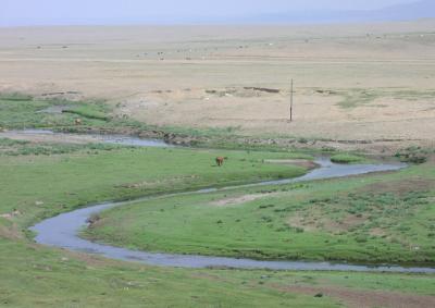 Mongolian Steppes