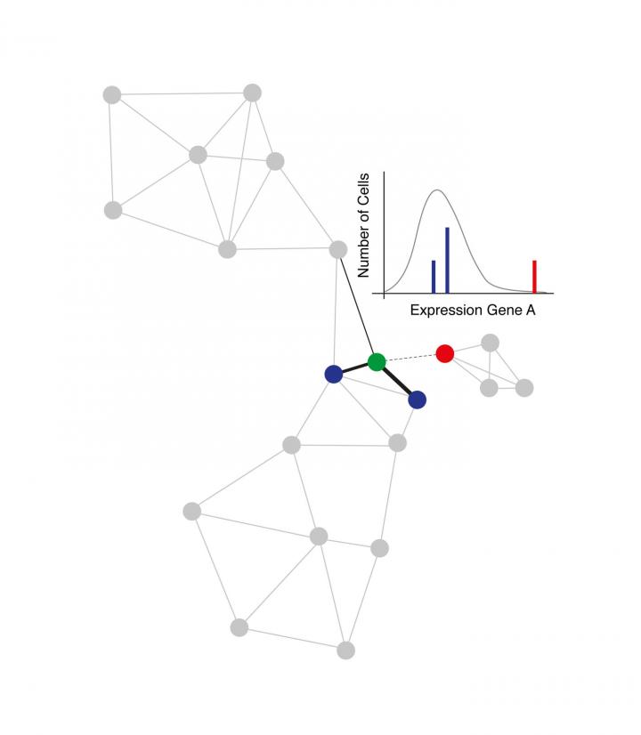 VarID Quantifies the Dynamics of Gene Expression Variability