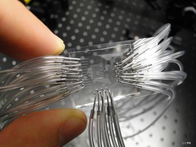 Lab-on-a-chip (2 of 2)