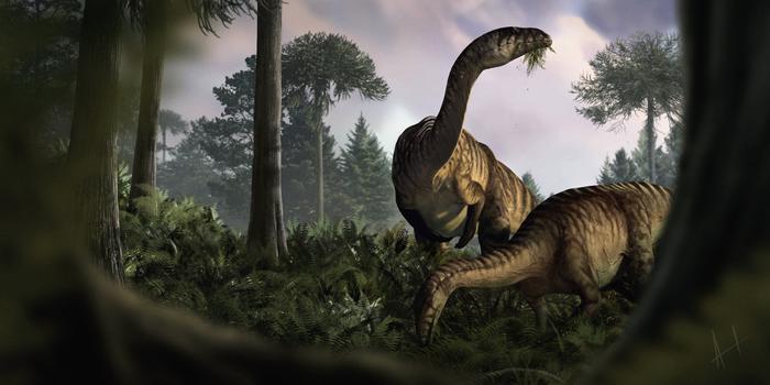 A duo of sauropodomorphs; one munching on the newly evolved plants in a wet Early Jurassic environment whilst the other is looking up as if there was something hiding in the vegetation.