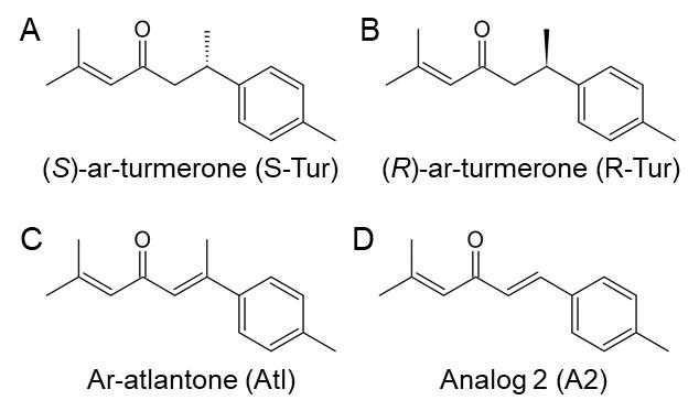 Aromatic-turmerone and analogues