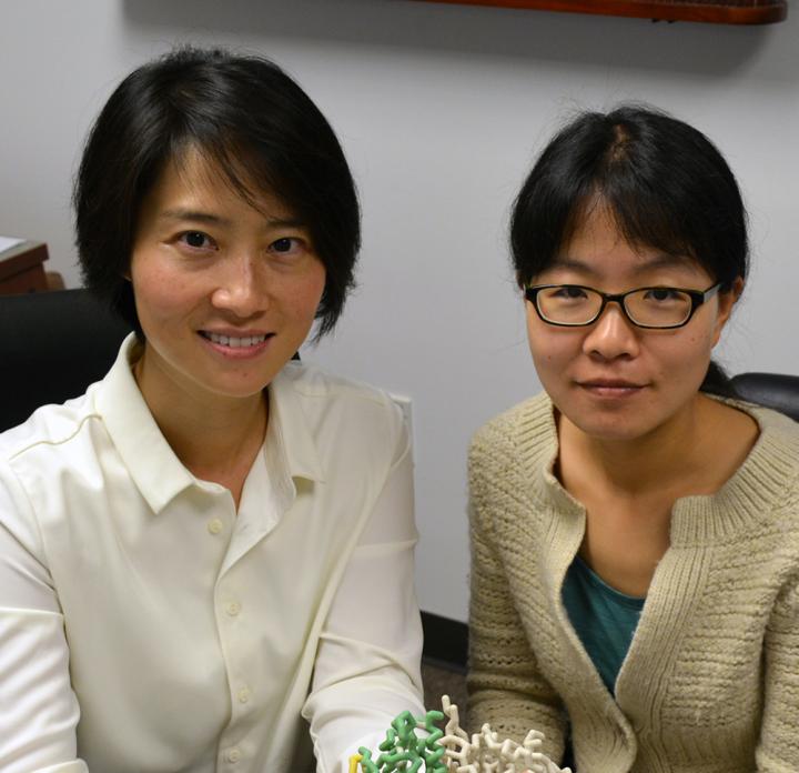 Xiang-Lei Yang, PhD and Zhongying Mo, PhD, Scripps Research Institute 