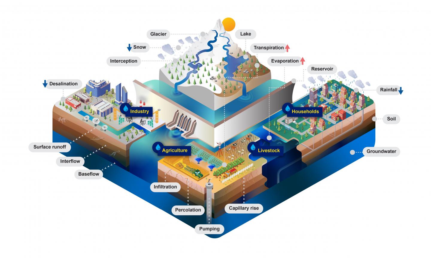 The Community Water Model