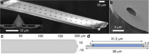 Structure of the FluidFM micropipette cantilevers.