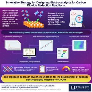 Innovative Strategy for Designing Electrocatalysts for Carbon  Dioxide Reduction Reactions