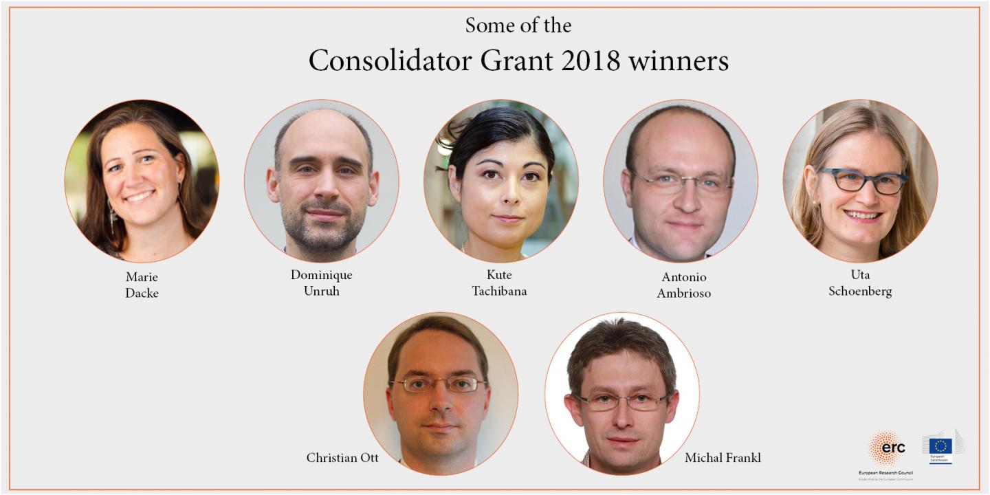 ERC Consolidator Grant 2018 winners