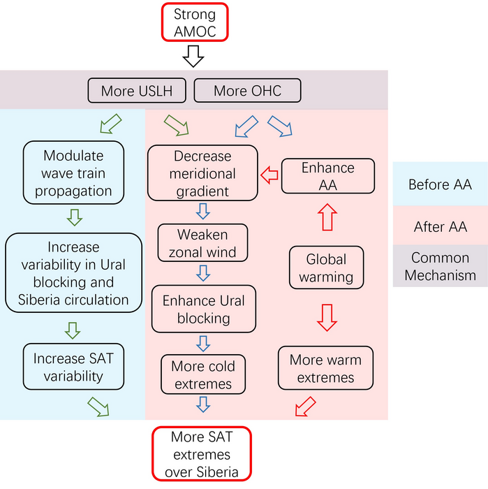 Schematic diagram of the strong AMOC effect on the SAT extremes over the mid-to-high latitudes in Eurasia