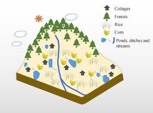 graphical abstract