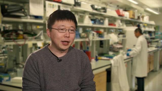 Harnessing CRISPR for Rapid Detection of Viral and Bacterial Infection (2 of 4)