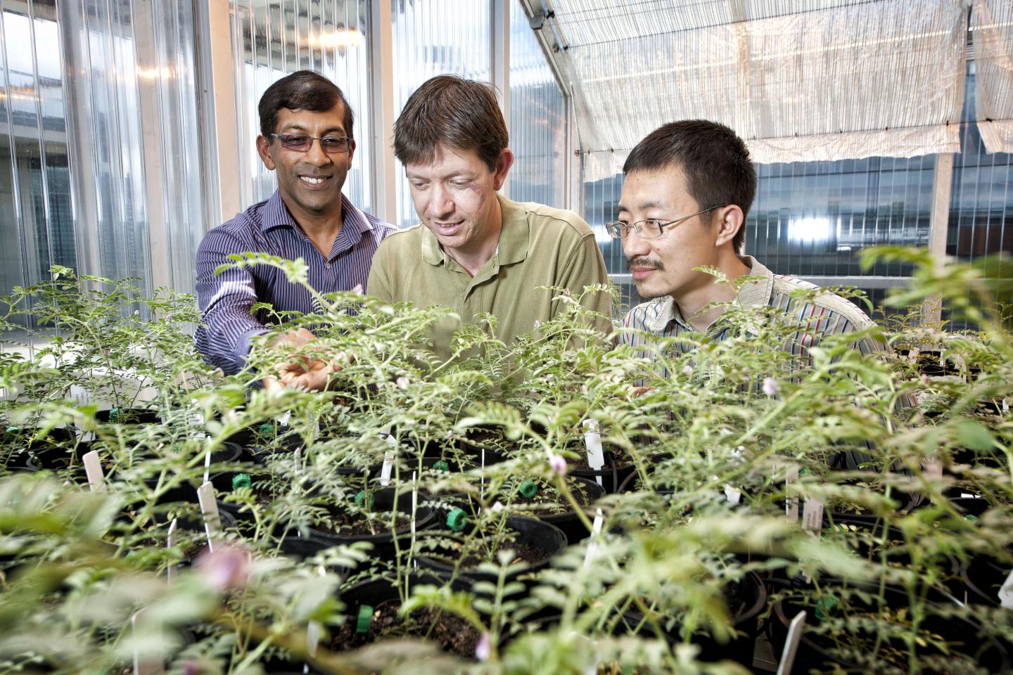 Bringing Plants Back To Life