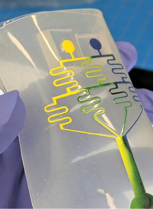 Paperbased microfluidics offer pathway to ra EurekAlert!