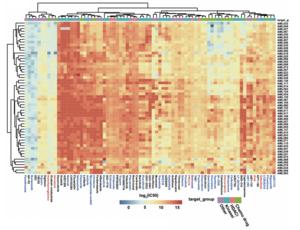 Integrative proteogenomic and pharmacological landscape of acute myeloid leukaemia