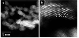 The Microstructure of the Ru-NP Catalyst