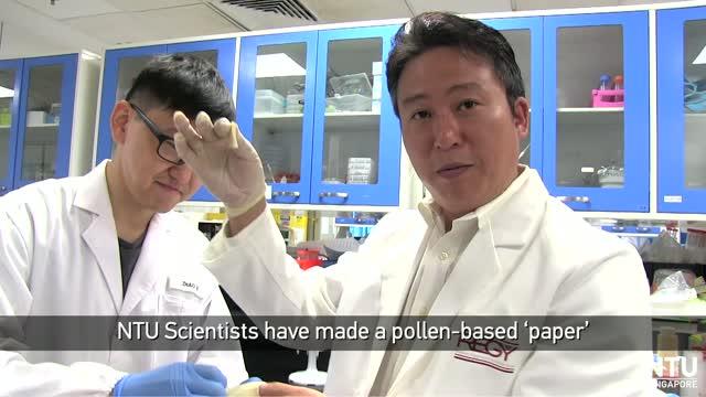 Pollen-Based 'Paper' Holds Promise for New Generation of Natural Components