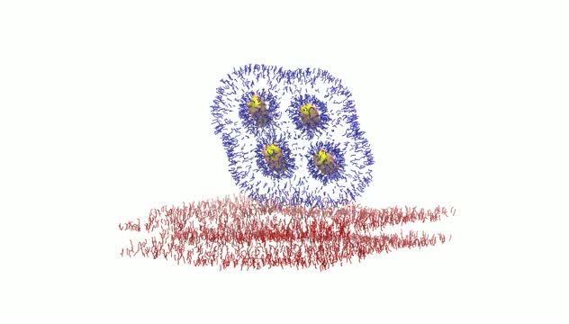 Visualization of the Fusion Process of a Small Lipoplex with the Endosomal Membrane