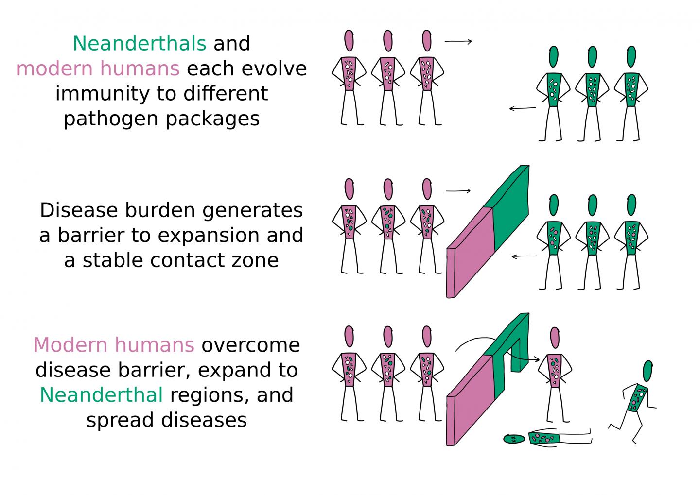 Disease Barrier Illustration