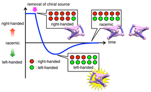 The transient chirality inversion in this study.