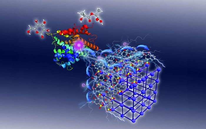 Electrochemical Wiring of a Redox Enzyme through a Redox-Active MOF