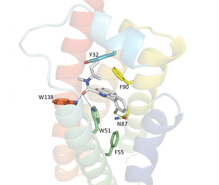 Closeup of Drug-Protein Interaction