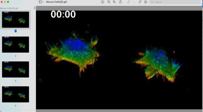 Cells Zip Through Mucus