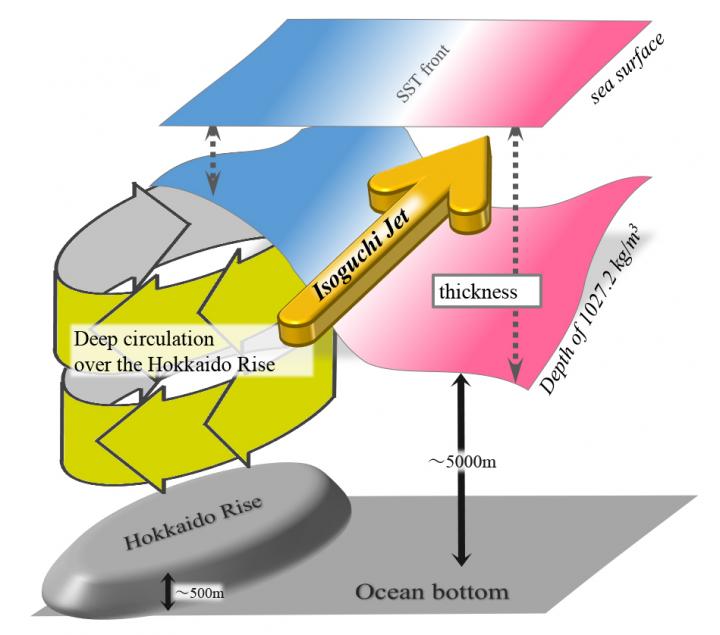 3D Illustration of Isoguchi Jets