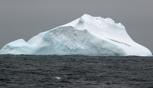 Iceberg