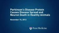 Parkinson's Disease Protein Causes Disease Spread and Neuron Death in Healthy Animals 