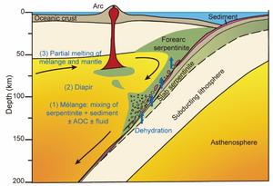 The serpentinite-dominated diapiric mélange melting model for the origin of the SSI arc magmas