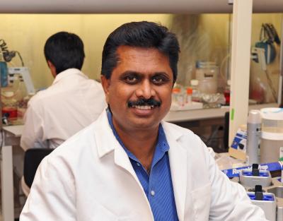 Anumantha Kanthasamy, Iowa State University