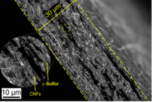 Monoclinic gamma-sulfur cathode