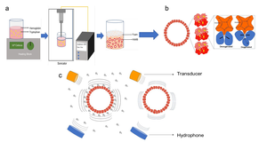 Blood oxygen levels and acoustiscs