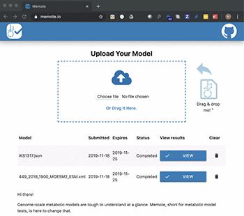 New Software Tool Fosters Quality Control of Genome-Scale Models of Metabolism