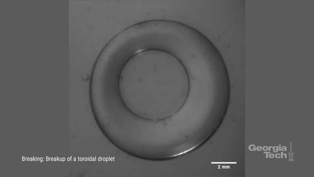 Evolution of Toroidal Droplets