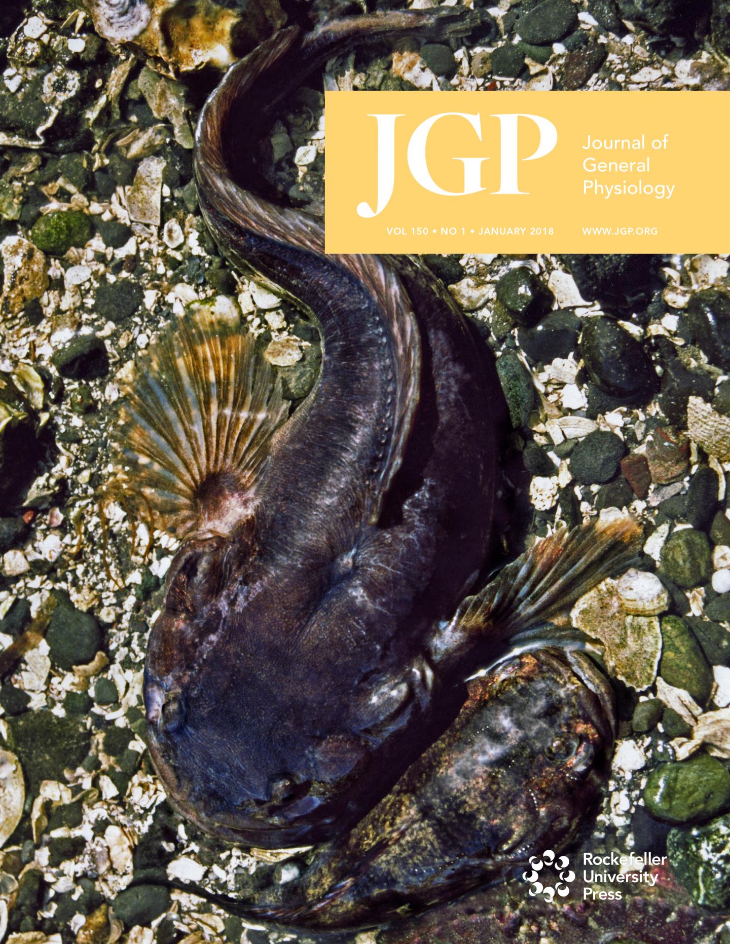 The Cover of the January 2018 issue of <i>JGP</i>