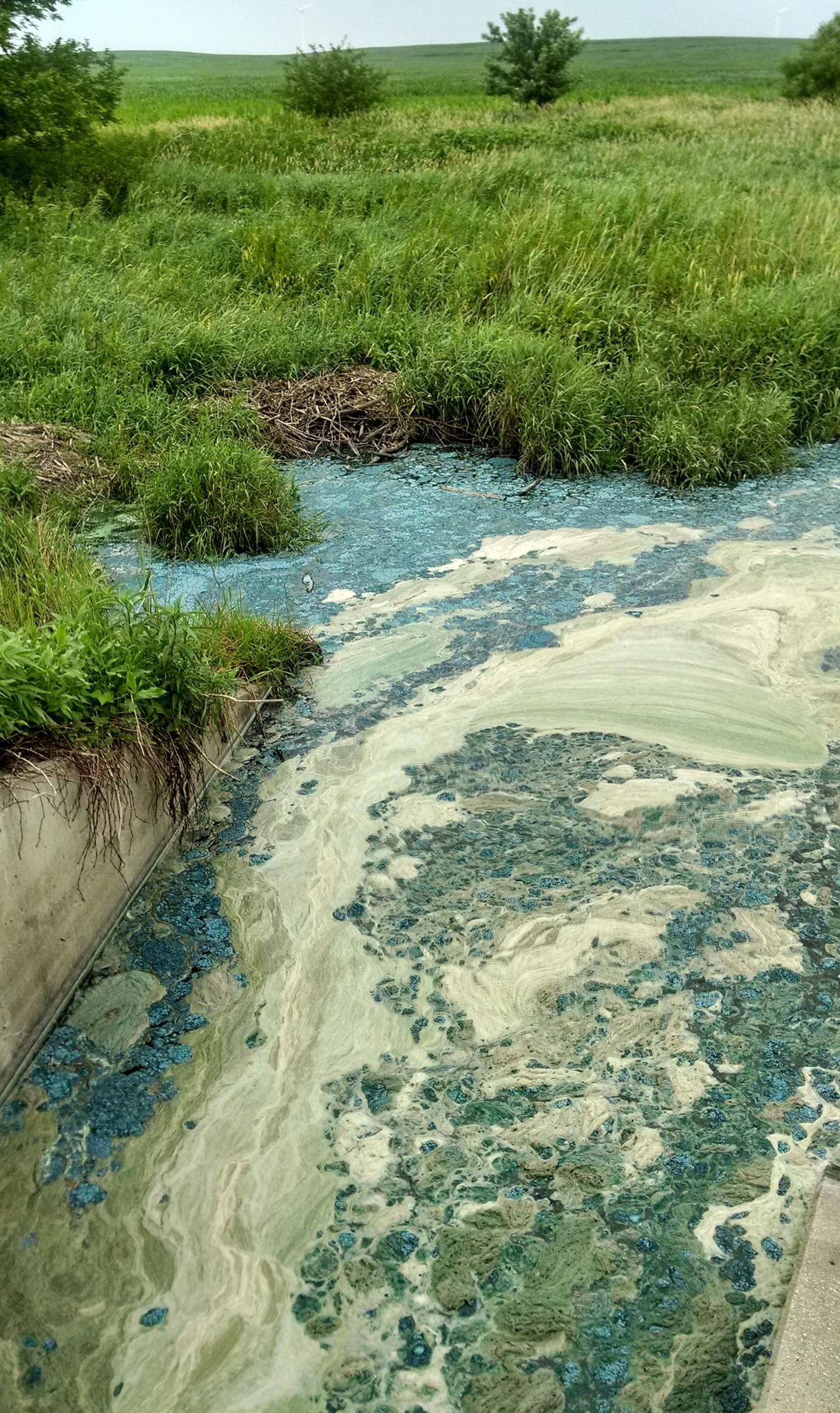 Lake Greening Threatens Water Supplies And Accelerates Climate Change