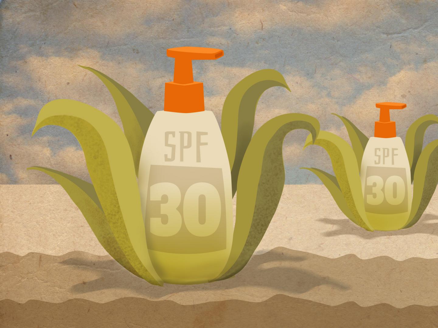 RiKarbon's Renewable Alternative to Petroleum-based Resources