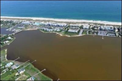 Brown Tide on Great South Bay