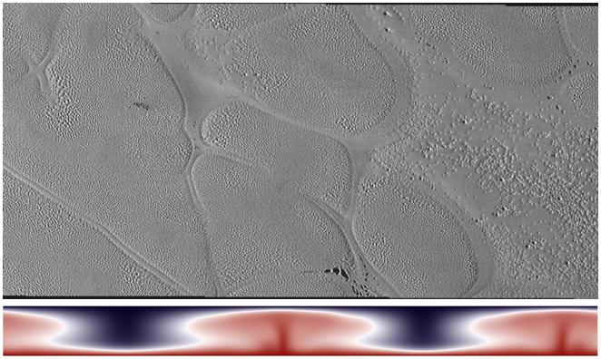 Numerical Simulation of Convective Cells