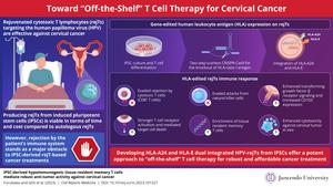 Engineering T lymphocytes for the robust treatment of cervical cancer