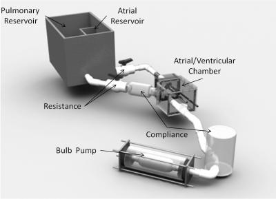 Georgia Tech Right Heart Simulator