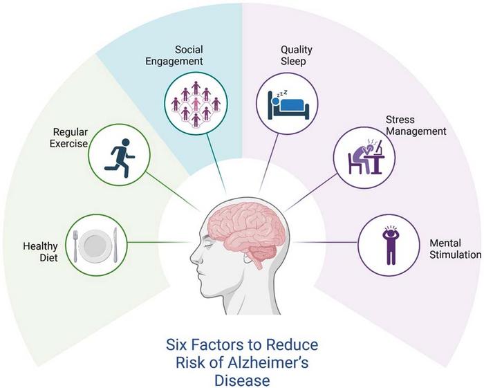 Factors to reduce the risk of Alzheimer’s disease