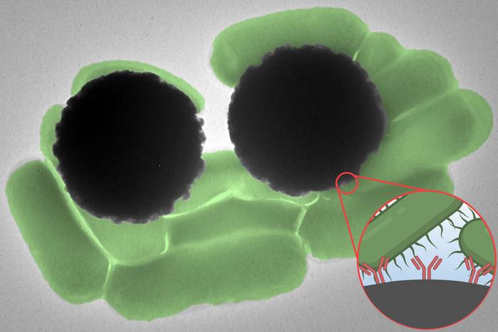 Magnetic Contaminants