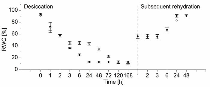 Drying without Dying: How Resurrection Plants Survive without Water (2 of 3)