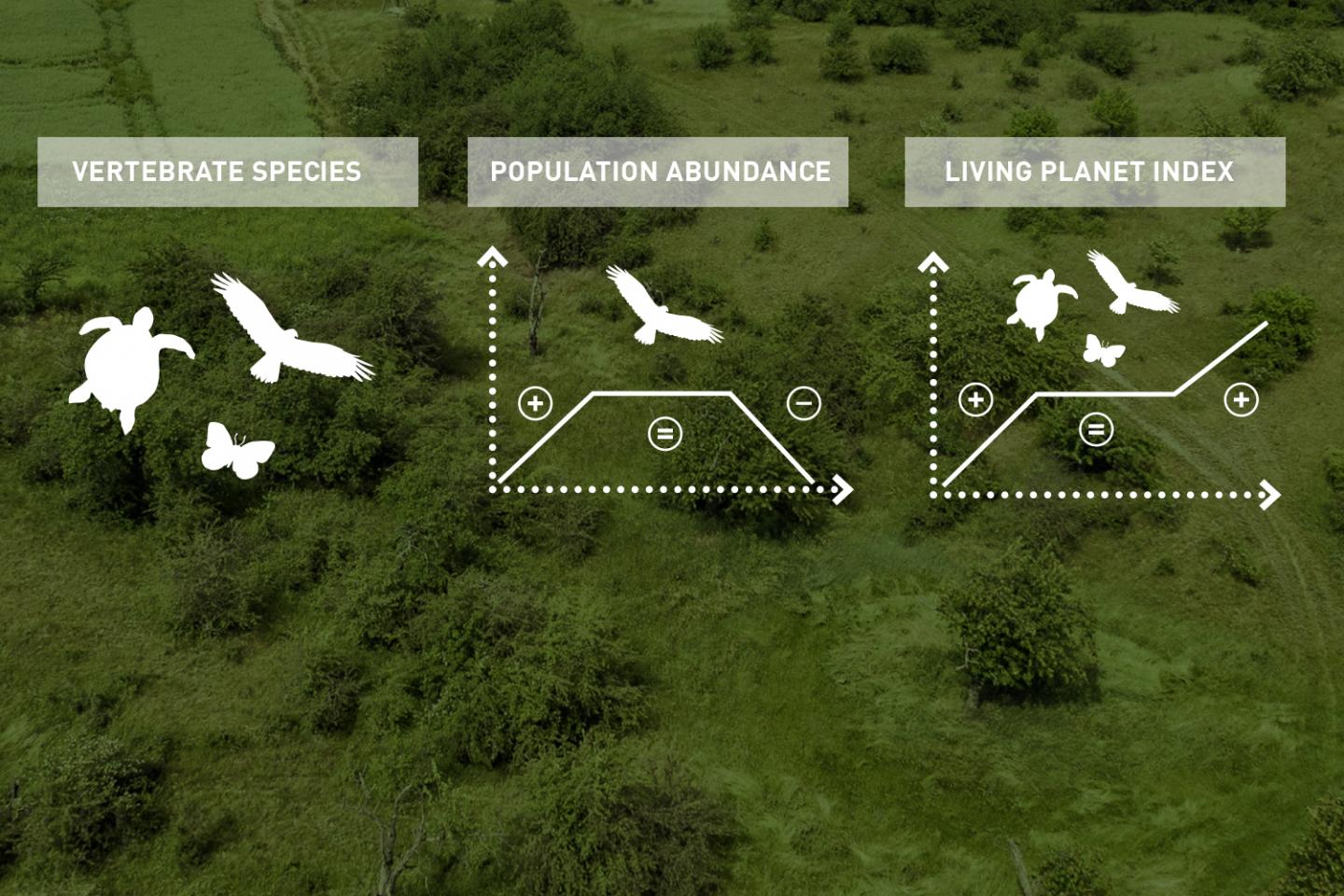 Researchers Explain Biodiversity Variables
