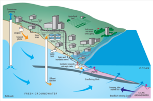 Schematic of groundwater flow