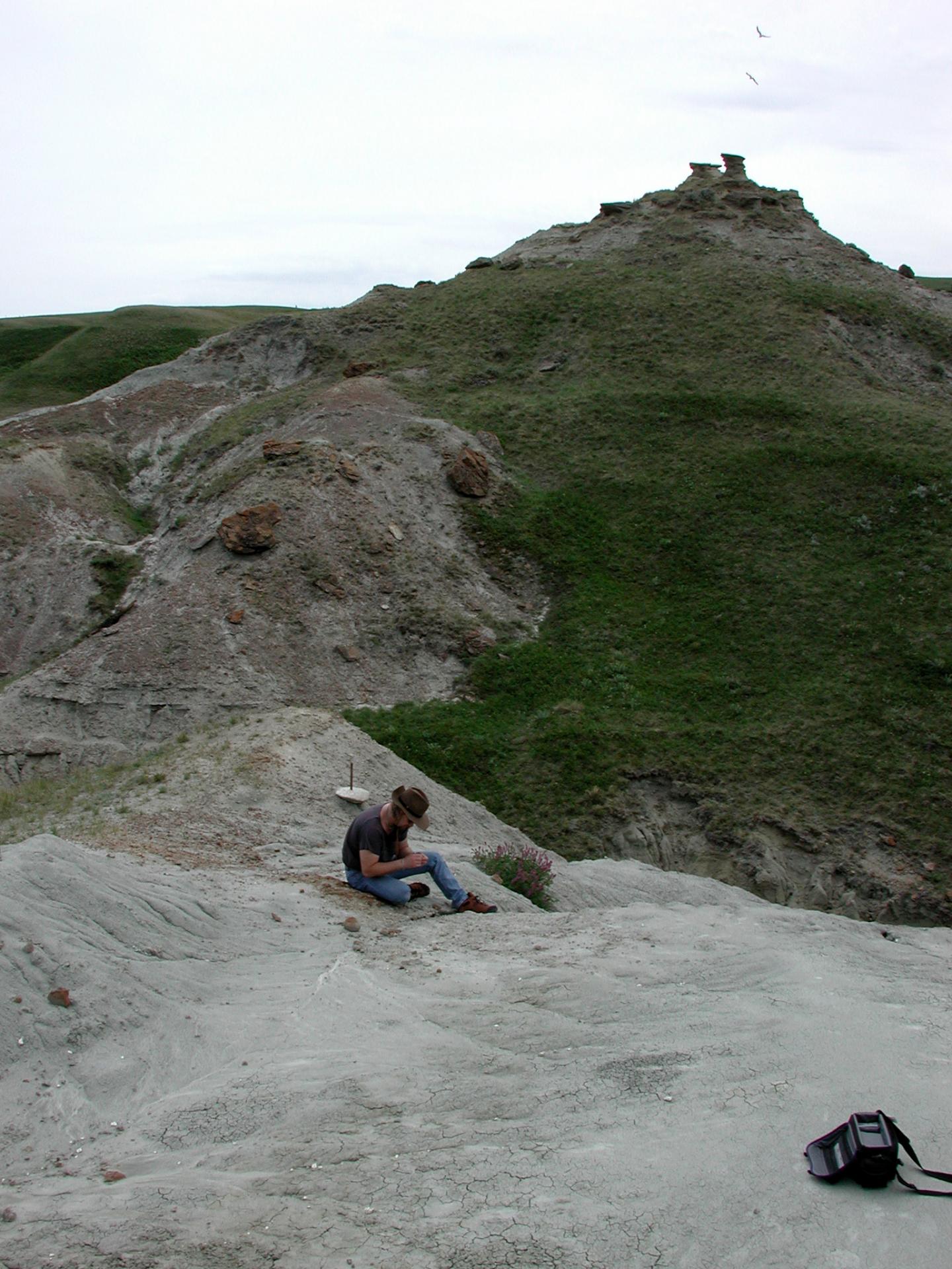 Dinosaur Nesting Site in Alberta, Canada