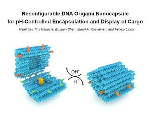 Nanocapsule