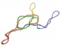 Supercoil Me! The Art of Knotted DNA Maintenance (1 of 2)