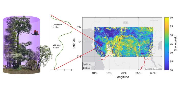 Rainforest data